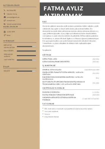 Matematik Öğretmeni Cv Örnekleri cv indir